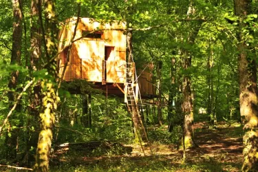 La Cabane du Héron : Cabane dans les arbres en Franche-Comté
