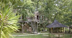 La cabane des Ecureuils Amoureux : Cabane dans les arbres en Languedoc-Roussillon (Occitanie)
