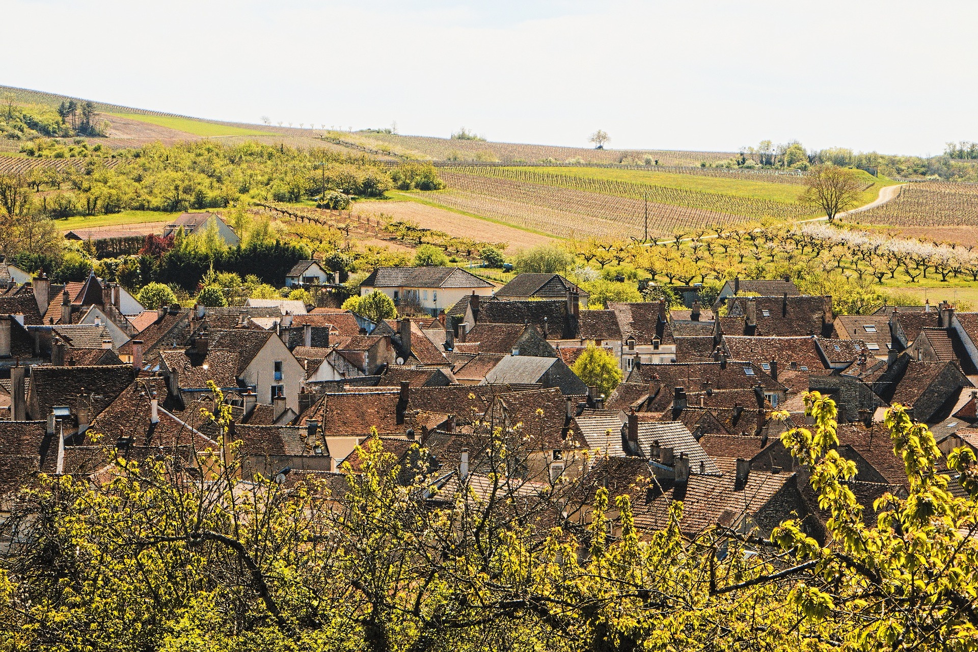 France: les régions du vin
