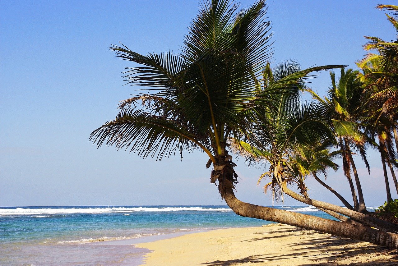 Punta cana plage