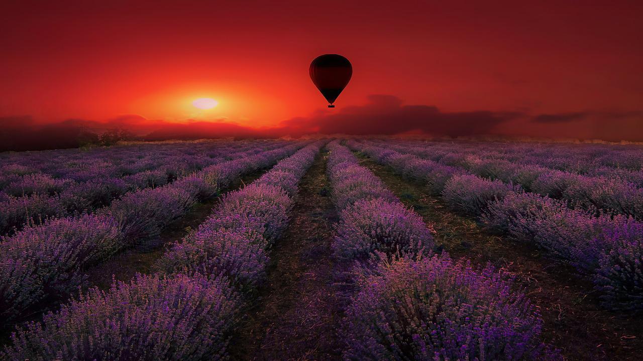 Provence Lavande et coucher du soleil