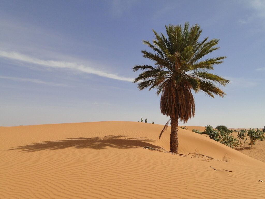 Désert de Mauritanie