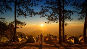 Camping dans les Landes : un hébergement de luxe