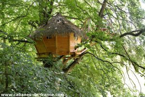 Grand Hêtre : Cabane dans les arbres en Haute-Normandie (Normandie)