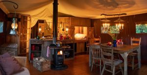 Lodge 4 champêtre avec douche privée extérieure : Tente et tente lodge en Pays de la Loire