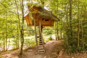 Cabane Familiale : Cabane dans les arbres en Centre (Centre-Val de Loire)