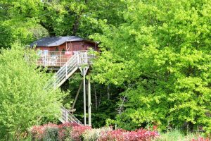 Cabane dans les arbres en Poitou-Charentes (Nouvelle Aquitaine)