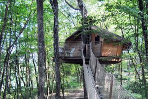 Cabane Margaux : Cabane dans les arbres en Aquitaine (Nouvelle Aquitaine)